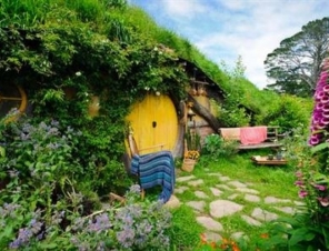 Hobbiton Tour New Zealand